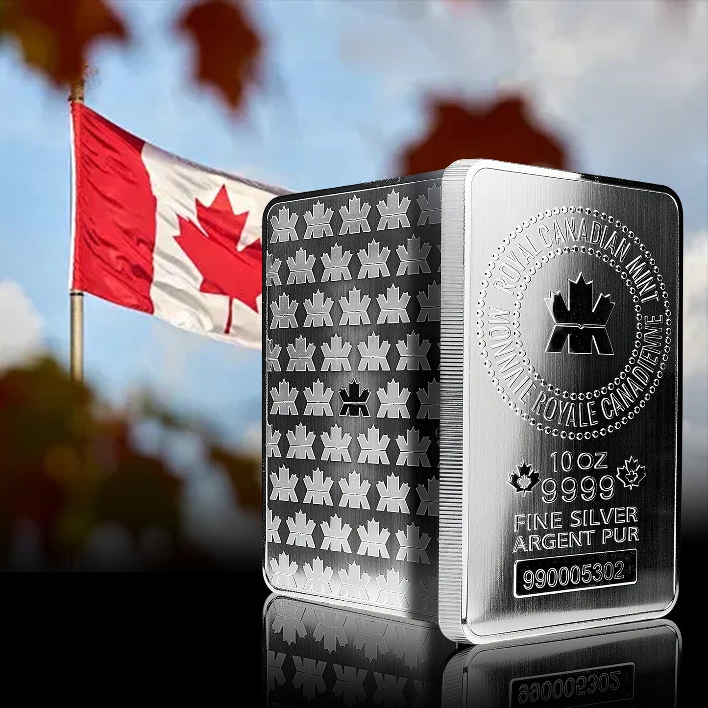 Royal Canadian Mint 10 oz Silver Bar