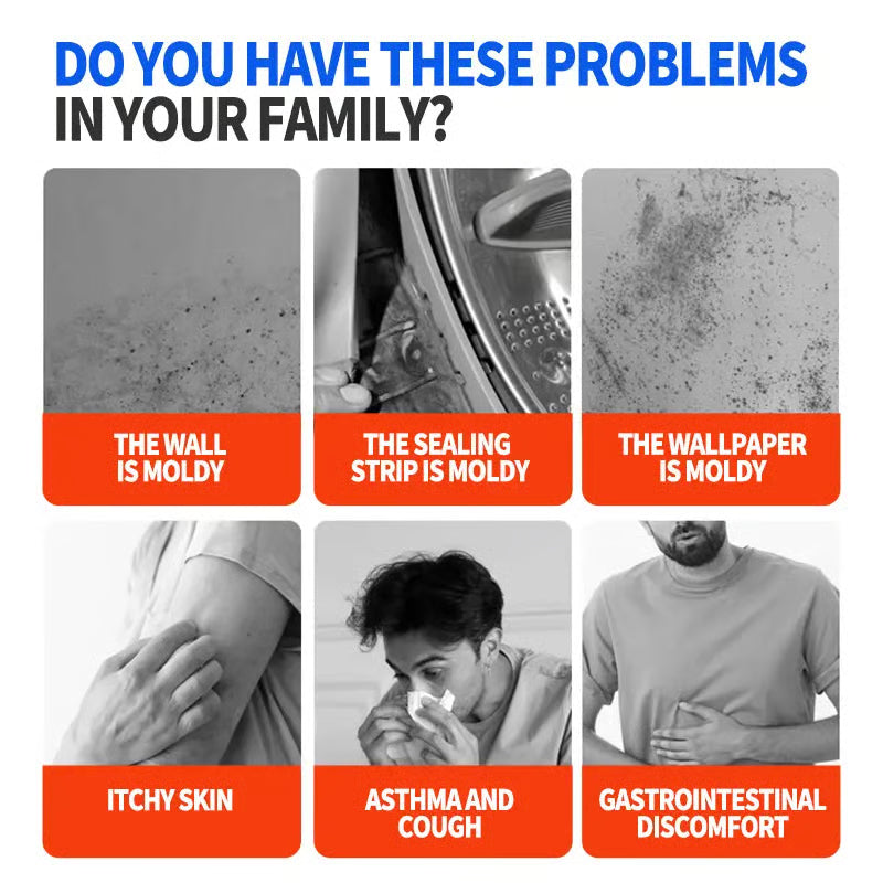 Highly Effective Mould Removal Spray - Prevents Mould Regrowth