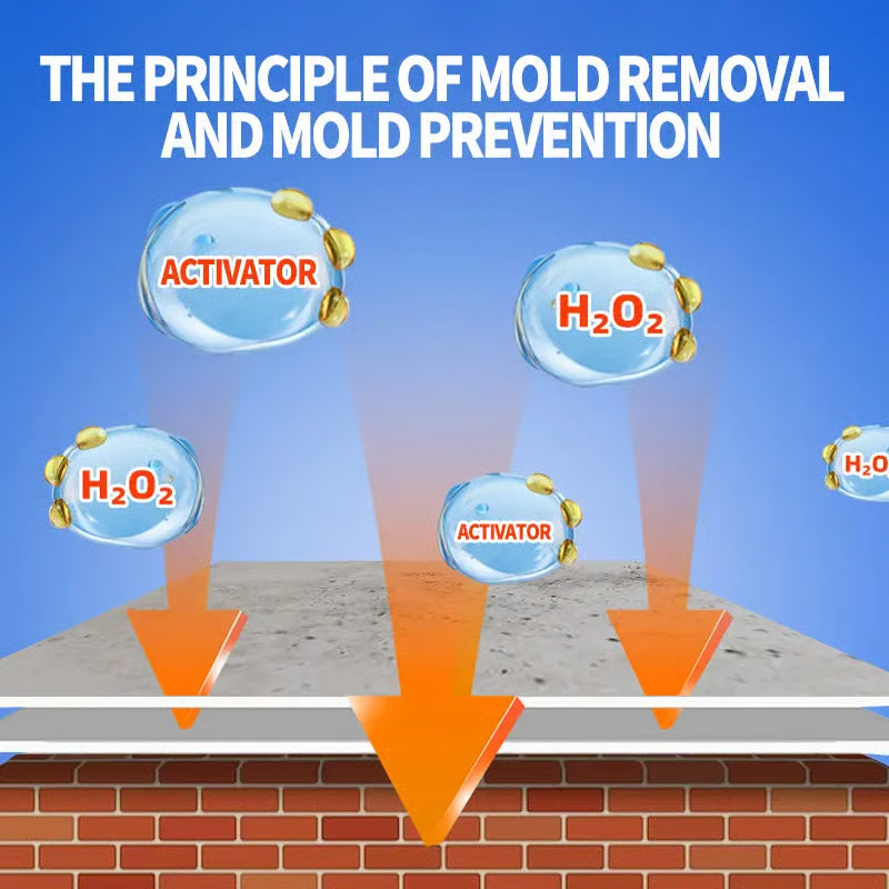 Highly Effective Mould Removal Spray - Prevents Mould Regrowth