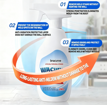 Highly Effective Mould Removal Spray - Prevents Mould Regrowth