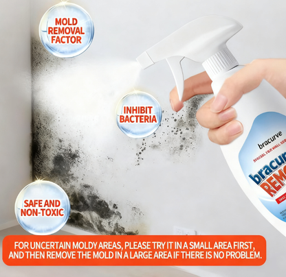 Highly Effective Mould Removal Spray - Prevents Mould Regrowth